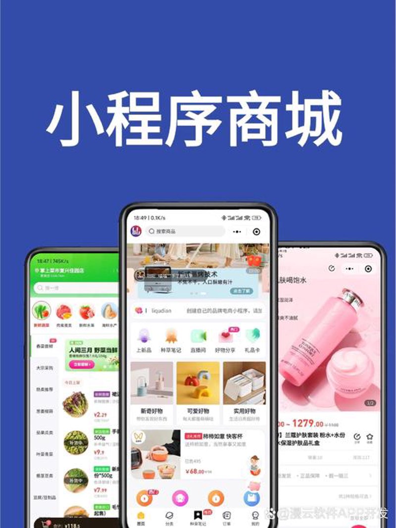 小程序开发在互联网行业的应用与前景